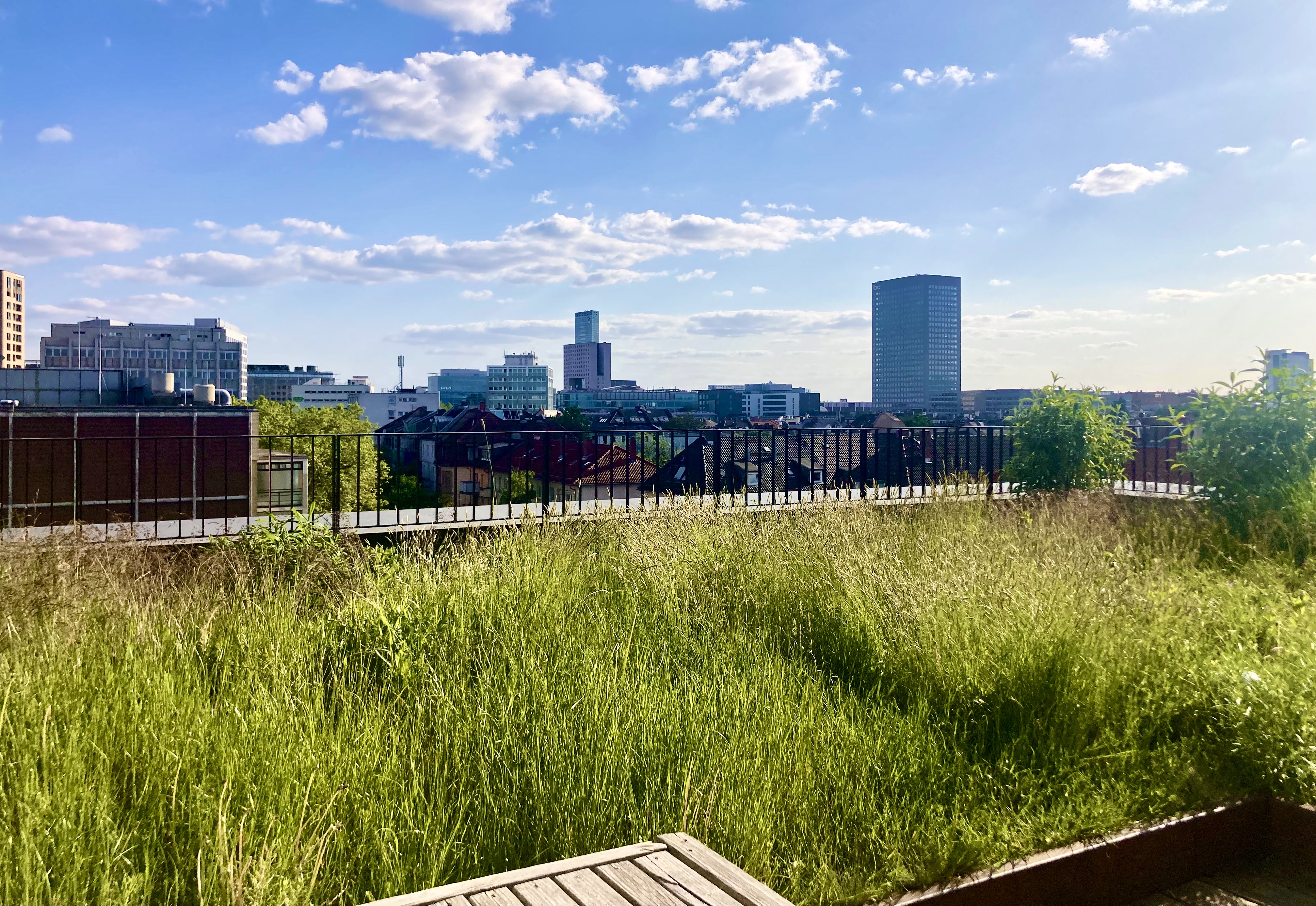 Frankfurt Skyline